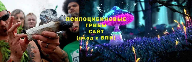 Псилоцибиновые грибы MAGIC MUSHROOMS  где купить   Болгар 